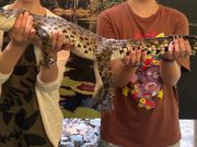 子ワニと写真撮影