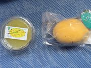 スイーツ🍰付き