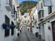 ミハスは感動。