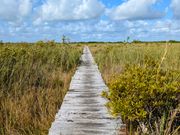 シアンカーンの帰り道