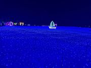 光のフェスティバル