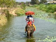 象乗りリバートレッキング