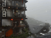 阿妹茶楼から見た海悦桜