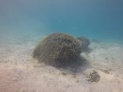 まるで、水族館だ