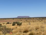 フルルー（ウルルもどき）