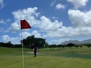 グリーン状態は良好でした