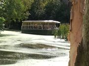 ボートクルーズ