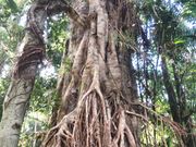 スカイレール途中駅にて