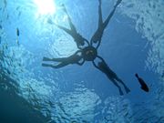 下から撮ってくれました。