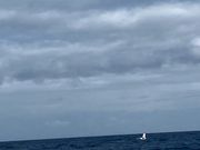 船酔いが吹っ飛びました！