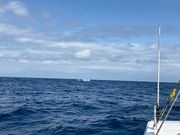 スマホではここまで…