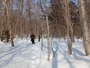 道から外れて少し歩いてみたり