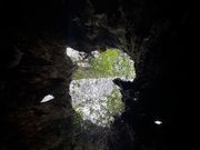 ウィルソンの株