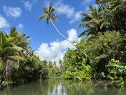 カヤックからの景色