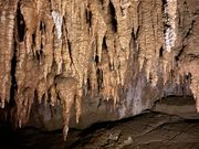 鍾乳洞