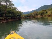 マングローブ原生林カヌー