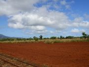 ドールプランテーションの列車からの風景