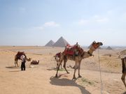ラクダに乗るのに¥6,000ほど。高い！けど思い出として乗って良かったです。