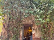 ワット・バーンクン