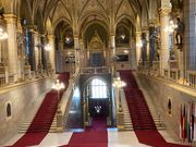 みてよかった。美しさに感動！