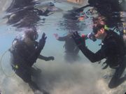 ビーチエントリーダイビング