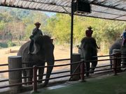 最初にゾウと写真を撮りました