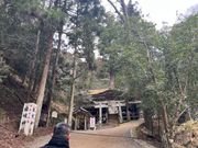 貸切ハイヤーさん　