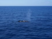 潮吹きの瞬間！