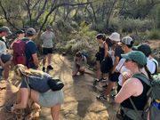 キングスキャニオン散策の様子