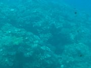 船内から見たところ②