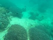 船内から見たところ①