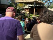 盛り上がりすぎてたトンガのショー