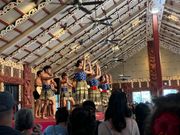 体験した遊びのレベル高いNZショー