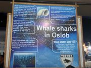 出発前に注意事項の説明を聞くor紙を読みます