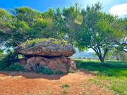 ポハクラナイでは指先が少しピリピリする体験をしました