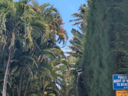 ラニカイビーチはとても美しかったです