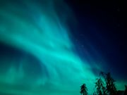 加工なしです！