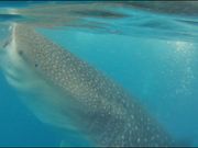 こんな至近距離でも取れました📸