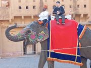 象でアンベール城へ入場