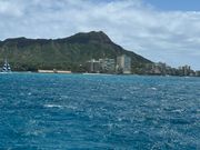 イルカ🐬とダイアモンドヘッド