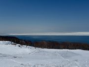 1湖から海を見ると流氷と鹿