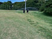 モアナルア・ガーデン
スプリンクラーで大はしゃぎ