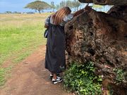 バランスロック