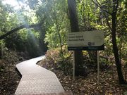 緑溢れるグリーン島