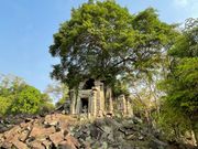 ラピュタの最後シーン