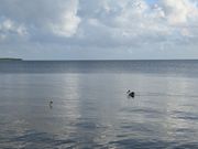 日の出を見に海へ。既に沢山の人がいました。