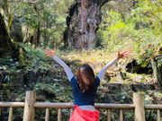 夢に見た縄文杉