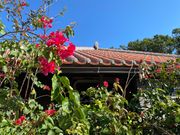 この景色が見たくて離島ツアーに参加しました。快晴で空と瓦屋根のコントラストが綺麗｡