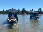 ちゃぷちゃぷしながらの足取りも力強く｡三線の奏がしっくり来ました。