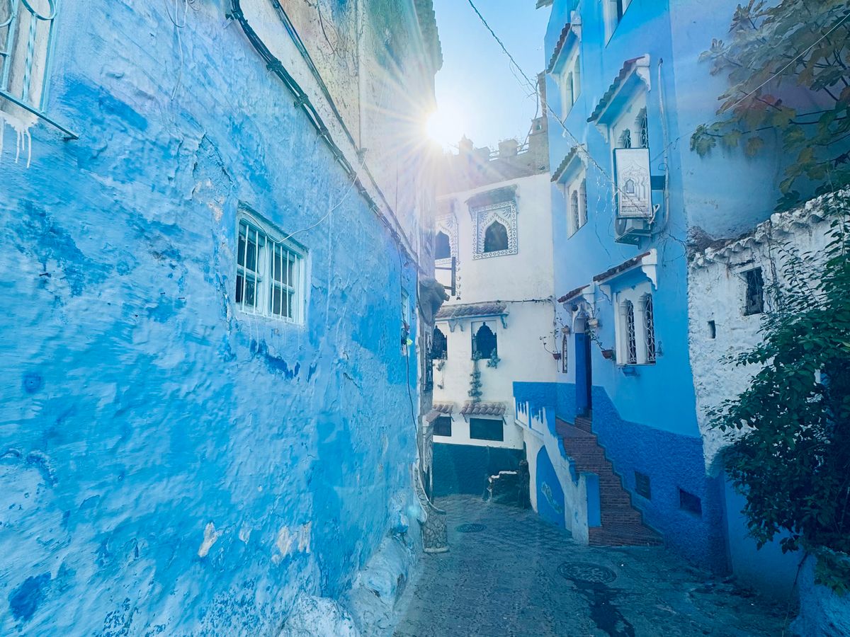 参加者のレビュー一覧) 青い町シャウエン (フェズ発 日帰りツアー